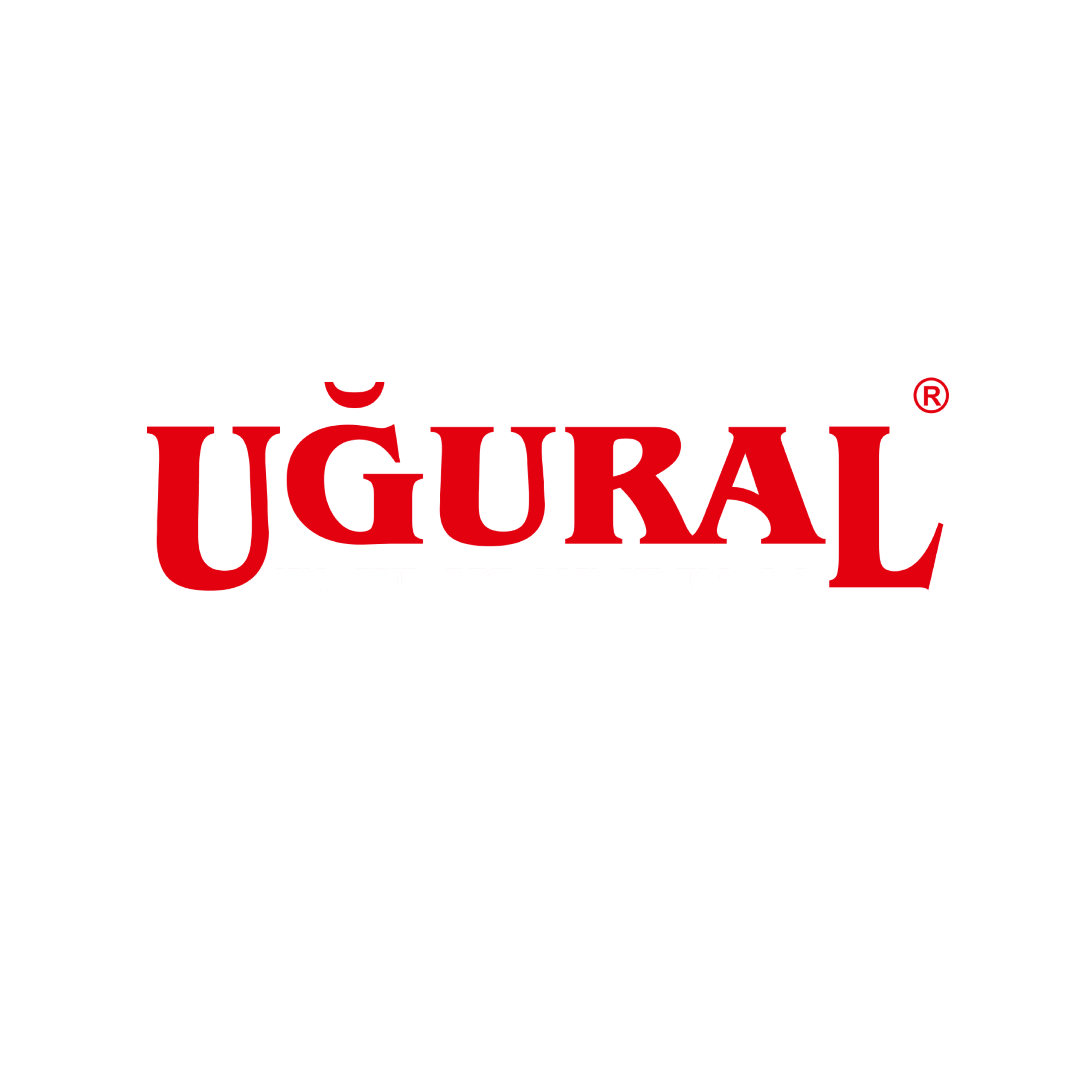 Logo Ipsum Plus